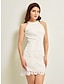 cheap Party Dress-Spring Summer Elegant Lace Dress