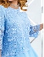 Χαμηλού Κόστους plus size φορέματα για πάρτι-Γυναικεία Μεγάλα Μεγέθη Καμπύλη Φόρεμα για πάρτυ Χειμερινό φόρεμα Φόρεμα Συμπαγές Χρώμα Μακρύ Φόρεμα Μάξι Φόρεμα 3/4 Μήκος Μανικιού Δαντέλα Σουρωτά Στρογγυλή Ψηλή Λαιμόκοψη Κομψό Πάρτι