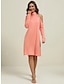 cheap Plain Dresses-Women&#039;s Casual Dress Mini Dress Cold Shoulder Daily Date Fashion Basic Stand Collar Long Sleeve Black White Pink Color