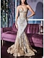 cheap Prom Dresses-Mermaid / Trumpet Prom Dresses Celebrity Style Dress Graduation Prom Court Train Sleeveless V Neck Lace with Glitter Crystals Sequin 2024