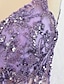 cheap Prom Dresses-Mermaid / Trumpet Prom Dresses Celebrity Style Dress Graduation Prom Court Train Sleeveless V Neck Lace with Glitter Crystals Sequin 2024