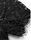 abordables Bodis-Mujer Mono Encaje Retazos Color sólido Escote Chino Sensual Calle Discoteca Ajuste regular Manga Corta Negro S M L Verano