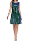levne obyčejné šaty-Dámské Flitrové šaty Mini šaty Flitry Dovolená Rande Šik ven Tričkový Bez rukávů Trávová zelená Barva