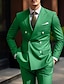 abordables Trajes-Trajes de boda para hombre verde militar, color sólido, 2 piezas, diario, negocios, talla grande, doble botonadura, seis botones, 2024