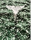 halpa vintage printti mekot-naisten tilkkutäkki nappi vintage mekko pitkä mekko maxi mekko kukka v kaula hihaton kesä kevät vihreä