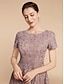 cheap Mother of the Bride Dresses-A-Line Mother of the Bride Dress Wedding Guest Elegant Petite Jewel Neck Tea Length Lace Tulle Short Sleeve with Ruching Flower 2024