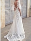 cheap Plain Dresses-Women&#039;s White Lace Wedding Dress Long Dress Maxi Dress Backless with Sleeve Date Vacation Maxi Sexy V Neck Short Sleeve White Color