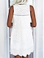 ieftine rochii simple-Pentru femei Rochie albă Rochie Mini Dantelă Peteci Dată Șic Stradă De Bază În V Fără manșon Alb Culoare