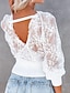 preiswerte Basic-Damenoberteile-Hemd Spitzenhemd Bluse Öse oben Damen Schwarz Weiß Feste Farbe Spitze Strasse Täglich Modisch V Ausschnitt S