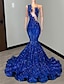 cheap Prom Dresses-Mermaid / Trumpet Prom Dresses Elegant Dress Engagement Prom Court Train Sleeveless Jewel Neck African American Sequined with Sequin Appliques 2024