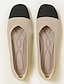 abordables Zapatos casuales de mujer-Mujer Bailarinas Tallas Grandes Zapatos Flyknit Zapatos blandos Exterior Trabajo Diario A Rayas Tacón Plano Dedo cuadrada Clásico Casual Confort Zapatos de Paseo Punto Mocasín Negro / Beige Negro