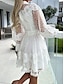 Χαμηλού Κόστους απλά φορέματα-Γυναικεία Λευκό φόρεμα Μίνι φόρεμα Δαντέλα Κουρελού Ημερομηνία Κομψό στυλ street Γραμμή Α Όρθιος Γιακάς Μακρυμάνικο Μαύρο Λευκό Χρώμα