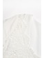 abordables robes unies-Femme Robe dentelle Plein Dentelle Ouvert Col en U Mini robe du quotidien Vacances Manches 3/4 Eté Printemps