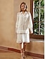 Χαμηλού Κόστους σχέδιο βαμβακερά &amp; λινά φορέματα-Γυναικεία Λευκό φόρεμα Φόρεμα Φόρεμα πουκαμίσα Μίνι φόρεμα Δαντέλα αντίθεσης Δαντέλα Βασικό Κλασσικό Καθημερινά Διακοπές Κολάρο Πουκαμίσου Μακρυμάνικο Καλοκαίρι Άνοιξη Φθινόπωρο Λευκό Ουρανί Σκέτο