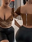 Недорогие Базовые плечевые изделия для женщин-Укороченные Жен. Коричневый Сплошной/однотонный цвет Застежка-молния сзади Повседневные Мода V-образный вырез Обтягивающие S