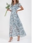 cheap Print Dresses-Women&#039;s Chiffon Casual Dress A Line Dress Floral Print V Neck Maxi Dress Vacation Short Sleeve Summer