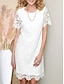 Недорогие простые платья-Жен. Белое платье Мини-платье Кружева с рукавом Свидание Отпуск Классический Вырез под горло С короткими рукавами Белый Цвет