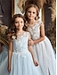 cheap Kids Tutus-Ball Gown Floor Length Flower Girl Dress First Communion Girls Cute Prom Dress Lace with Appliques Open Back Boho Fit 3-16 Years