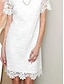 Недорогие простые платья-Жен. Белое платье Мини-платье Кружева с рукавом Свидание Отпуск Классический Вырез под горло С короткими рукавами Белый Цвет