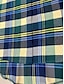 رخيصةأون ملابس علوية أساسية للنساء-قميص نسائي أخضر مخطط ومنقوشة مراجعة النمك مناسب للبس اليومي يوميا قبعة القميص فضفاض صالح L