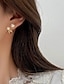 preiswerte Ohrringe-1 Paar Huggie Ohrringe For Damen Geburtstag Geschenk Verabredung Aleación Schick Mode