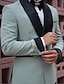 cheap Suits-Sage Men&#039;s Wedding Suits Solid Colored 2 Piece Party Dress Tailored Fit Single Breasted Two-buttons 2024