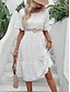 Χαμηλού Κόστους απλά φορέματα-Γυναικεία Λευκό φόρεμα Μίντι φόρεμα Δαντέλα Κουρελού Κομψό στυλ street Καθημερινό Λαιμόκοψη V Κοντομάνικο Λευκό Χρώμα