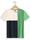 tanie T-shirty damskie-Damskie Podkoszulek Geometryczny Nadruk Codzienny Moda Krótki rękaw Półgolf Zielony Lato