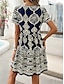 cheap Print Dresses-Women&#039;s Casual Dress Floral Print V Neck Mini Dress Boho Vacation Beach Short Sleeve Summer