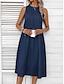 זול שמלות פשוטות-בגדי ריקוד נשים שמלת קז&#039;ואל שמלת מידי כיס חופשה טדי פליס סגנון רחוב צווארון עגול קצר ללא שרוולים ורוד מסמיק כחול נייבי אפור כהה צבע