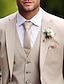 abordables Trajes-Trajes de boda caqui para hombre, color sólido, 3 piezas, diario, negocios, talla grande, un solo pecho, dos botones, 2024