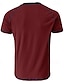 billiga Casual T-shirts för män-Herr T-shirt Henleytröja T-tröja Färgblock Årgång Henley Gata Semester Kortärmad Knapp Kläder Mode Designer Grundläggande