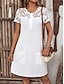 Χαμηλού Κόστους απλά φορέματα-Γυναικεία Καθημερινό φόρεμα Μίνι φόρεμα Σιφόν Δαντέλα Τσέπη Κομψό Στρογγυλή Ψηλή Λαιμόκοψη Κοντομάνικο Λευκό Χρώμα