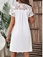 Χαμηλού Κόστους απλά φορέματα-Γυναικεία Καθημερινό φόρεμα Μίνι φόρεμα Σιφόν Δαντέλα Τσέπη Κομψό Στρογγυλή Ψηλή Λαιμόκοψη Κοντομάνικο Λευκό Χρώμα