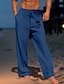 abordables Pantalon en coton et lin pour hommes-Homme Vêtement de rue Hawaïen Design Cocotier Imprimés Photos Pantalon pantalon été Pantalon de plage Estampage à chaud Cordon Taille elastique Impression 3D Taille médiale Casual du quotidien