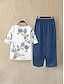 cheap Women&#039;s Two Piece Sets-Women&#039;s Shirt Pants Sets Floral Casual Daily Print Blue Short Sleeve Elegant Vacation Vintage Round Neck Summer Spring