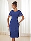 levne obyčejné šaty-Dámské Vrstvené šaty Midi šaty Volány Sklady Elegantní Formální Tričkový Bez rukávů Tmavomodrá Barva