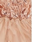 tanie proste sukienki-Damskie Biała sukienka Sukienka midi Wiązanie Koronka Randka Urlop Moda miejska Codzienny W serek Krótki rękaw Biały Rumiany róż Czerwony Kolor
