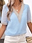 baratos Tops básicos de mulher-Camisa Social Blusa Mulheres Azul Tecido Renda Rua Diário Moda Decote V Normal S