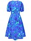ieftine Rochii casual florale-Pentru femei Rochii Midi Rochie casual Rochie leagăn Rochie A line Rochie de vară Stilat Casual Vacanță Zilnic Dată Fit regulat Floral Manșon scurt În V Albastru piscină Trifoi Vară