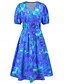 ieftine Rochii casual florale-Pentru femei Rochii Midi Rochie casual Rochie leagăn Rochie A line Rochie de vară Stilat Casual Vacanță Zilnic Dată Fit regulat Floral Manșon scurt În V Albastru piscină Trifoi Vară