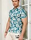 cheap Floral Print-Men's Tropical Flowers Flower / Plants Summer Shirt Casual Shirt Beach Shirt Short Sleeve Shirt Lapel Fashion Classic Casual Beach Vacation Hawaiian Red Blue Green S M L