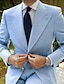 abordables Trajes-Trajes de boda azules para hombre, color liso, 2 piezas, moda, negocios, corte a medida, botonadura sencilla, dos botones, 2024