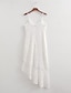 abordables robes unies-robe blanche Robe dentelle Robe casual Femme Mini robe Dentelle Dos Nu Plein Air Vacances Rendez-vous Vêtement de rue Sexy A Bretelles Sans Manches Standard Blanche S M L