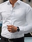 levne Košile-Pánské Šaty Košile Běžný Dlouhý rukáv Klopa Pevná barva Směs bavlny Bílá 2023