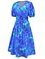 ieftine Rochii casual florale-Pentru femei Rochii Midi Rochie casual Rochie leagăn Rochie A line Rochie de vară Stilat Casual Vacanță Zilnic Dată Fit regulat Floral Manșon scurt În V Albastru piscină Trifoi Vară