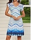 billige Kjoler med trykt mønster-Dame Nyanse V-hals Mini kjole Ermeløs Sommer