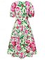 ieftine Rochii casual florale-Pentru femei Rochii Midi Rochie casual Rochie leagăn Rochie A line Rochie de vară Stilat Casual Vacanță Zilnic Dată Fit regulat Floral Manșon scurt În V Albastru piscină Trifoi Vară