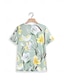 billiga T-shirts för damer-Dam T-shirt Ledigt Elegant Kortärmad V-hals Grön Sommar