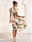 Χαμηλού Κόστους Print Φορέματα-Γυναικεία Σιφόν Φόρεμα σε γραμμή Α Φλοράλ γραβάτα μπροστά Με Βολάν Λαιμόκοψη V Μανίκι Flounce Μίντι φόρεμα Κομψό Καθημερινό Γάμου Διακοπές Αμάνικο Καλοκαίρι